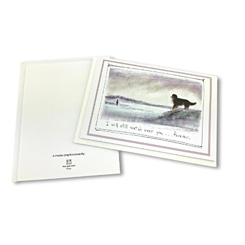 Bernese mountain dog sympathy card