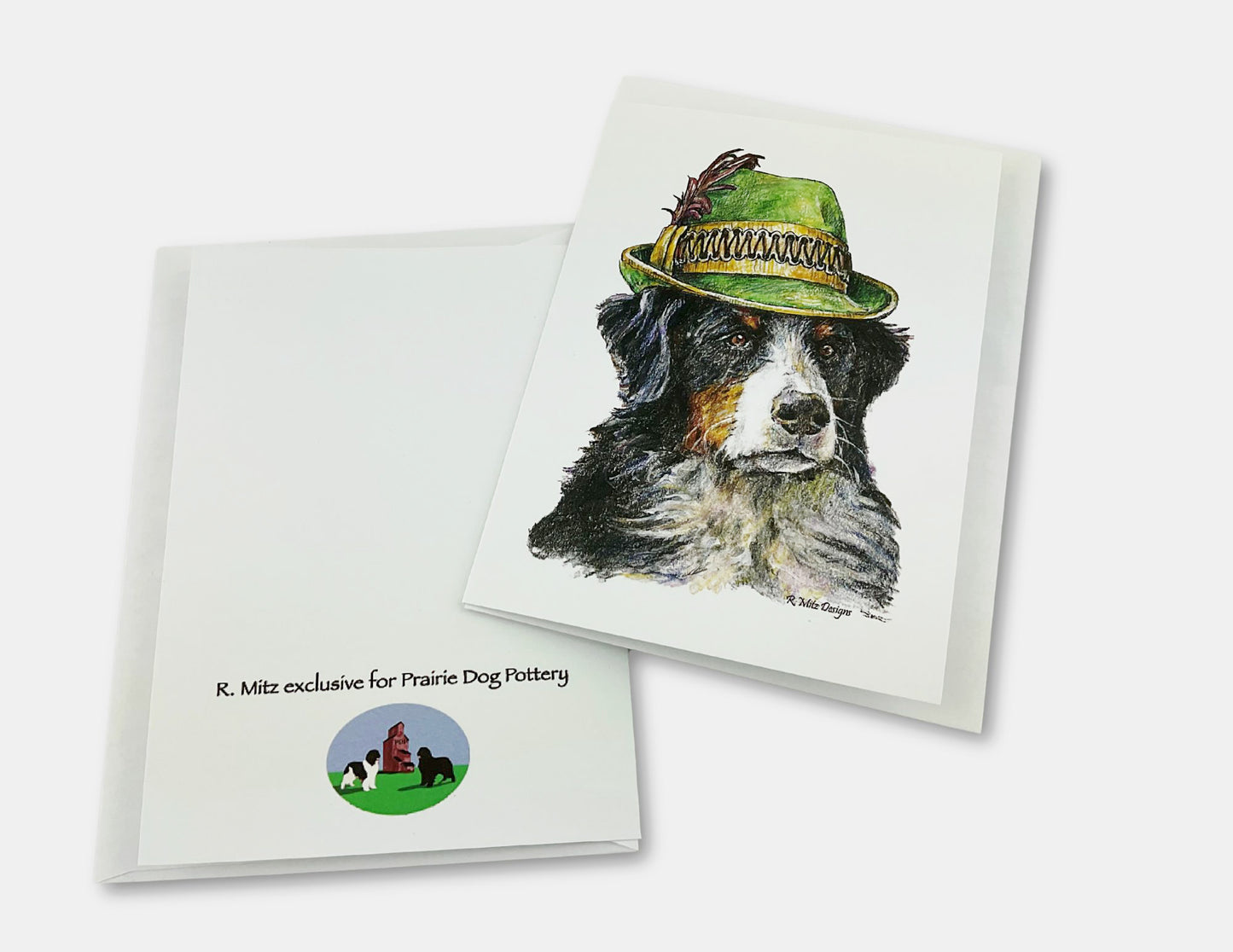 Bernese mountain dog wearing a green Alpine hat