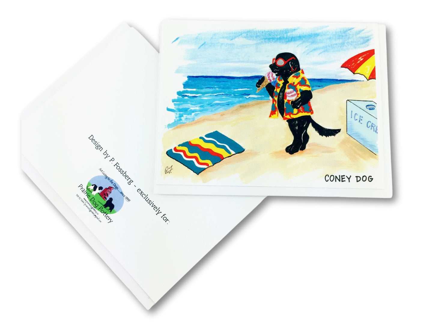 new in Hawaii shirt eating ice cream and wearing mirrored sunglasses on beach - funny