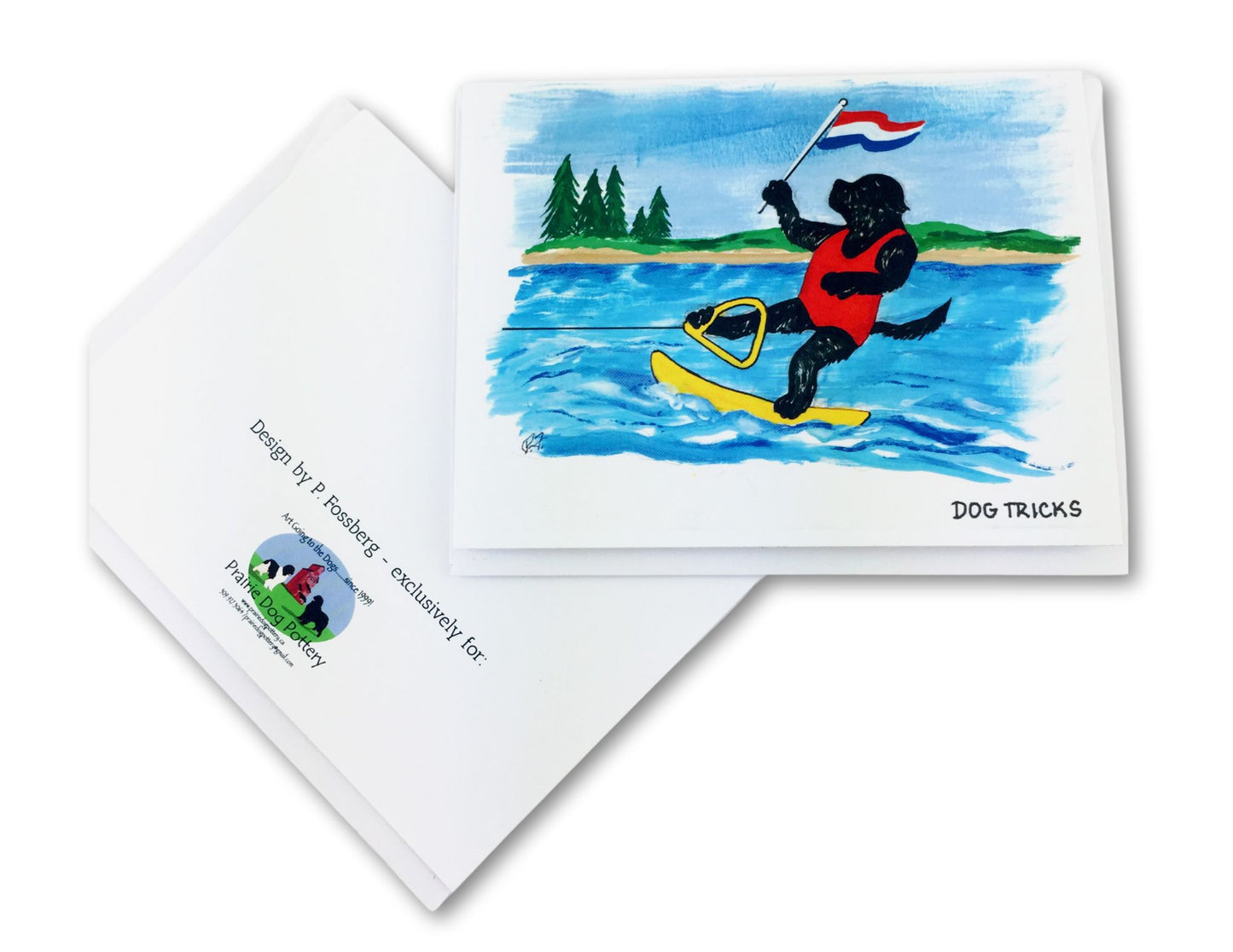 water skiing newf doing slalom on lake - funny