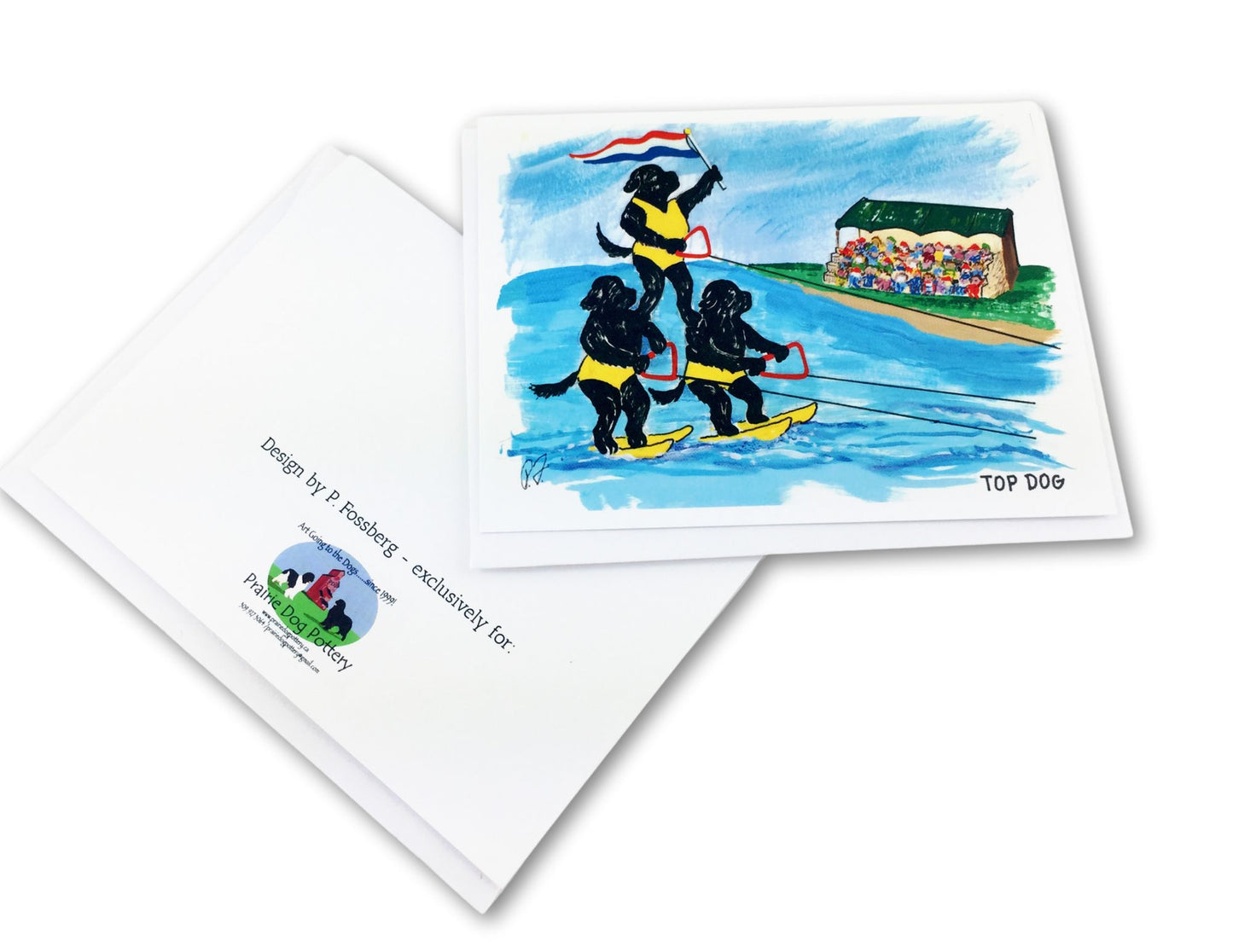 trio of stacked water skiing newts on water in front of grandstand - funny